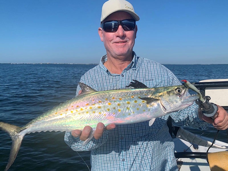 Kirk Grassett with a Spanish mackerel caught and released on a CAL jig with a shad fishing Sarasota Bay with Capt. Rick Grassett recently.